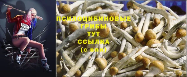 стаф Балабаново