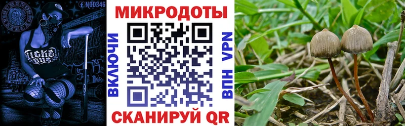Галлюциногенные грибы Cubensis  OMG рабочий сайт  Кропоткин 