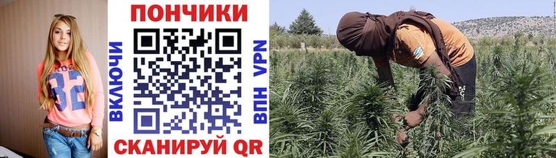 Бошки Шишки Ganja  Кропоткин 